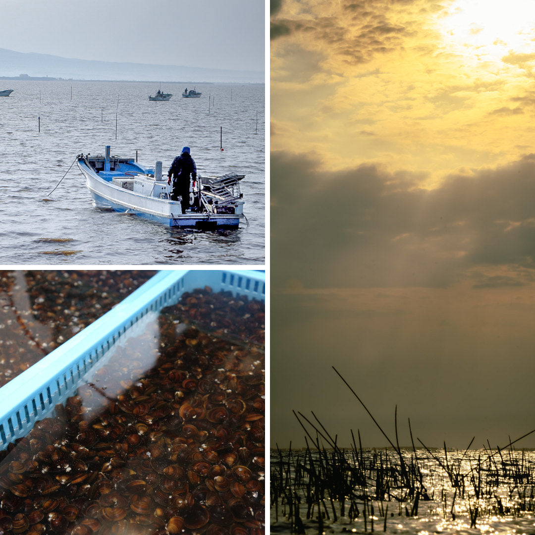 大和しじみ汁(8食入)_詳細